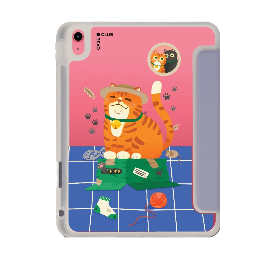 orange cat on the box