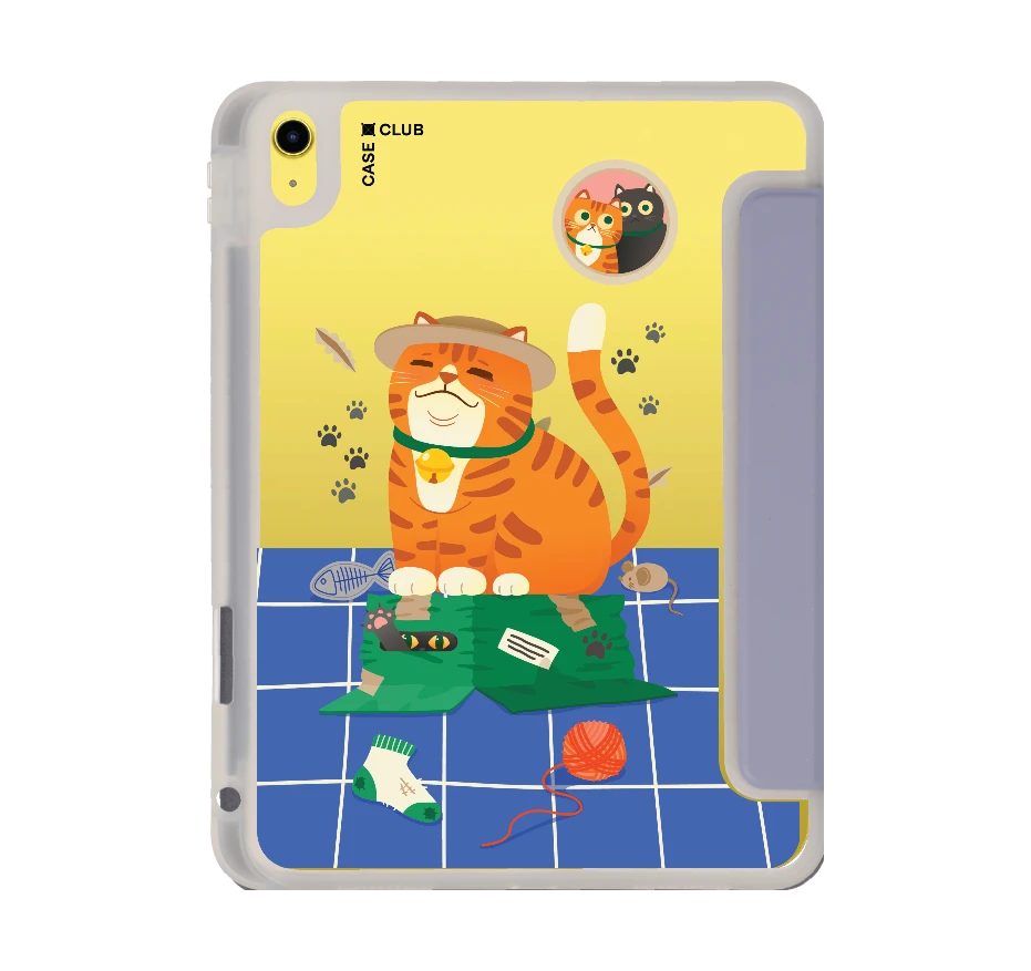 orange cat on the box