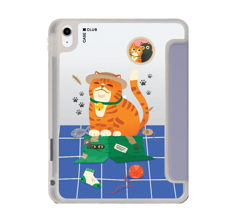 orange cat on the box