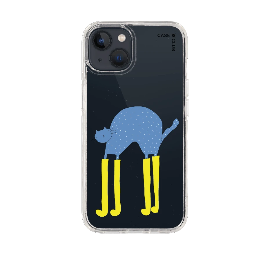 แมวฟ้ากับบูทซิ่งคู่ใจ