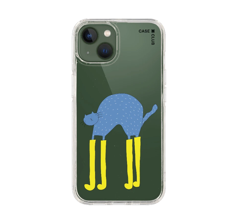 แมวฟ้ากับบูทซิ่งคู่ใจ