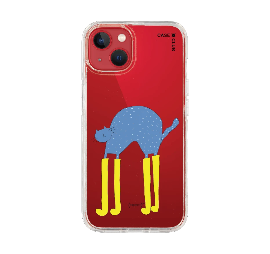 แมวฟ้ากับบูทซิ่งคู่ใจ