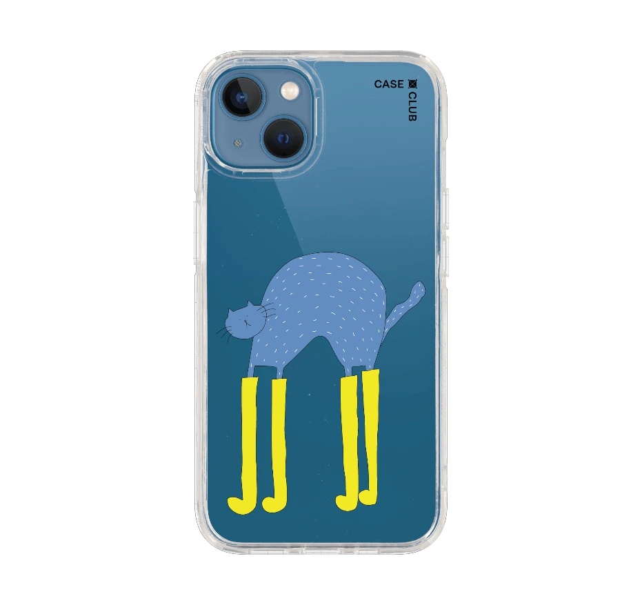 แมวฟ้ากับบูทซิ่งคู่ใจ