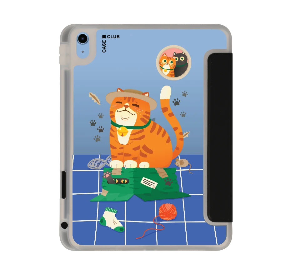 orange cat on the box