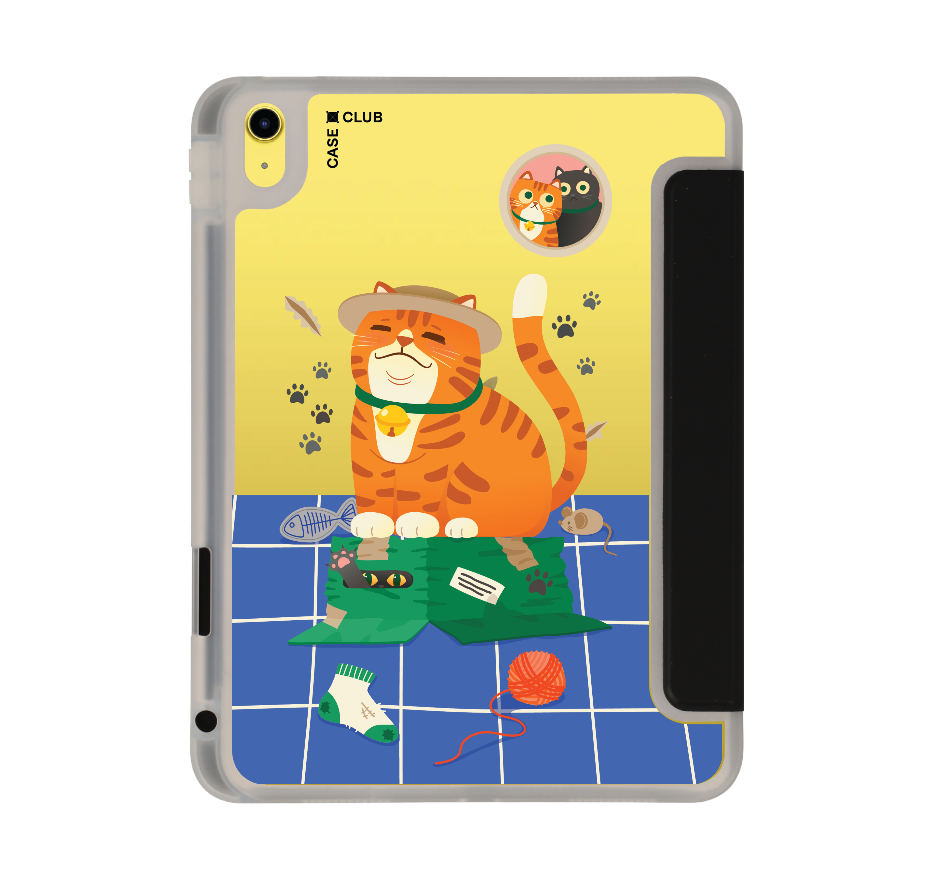 orange cat on the box