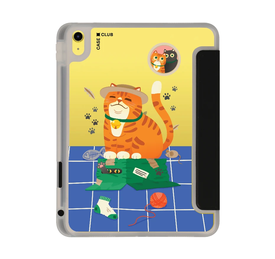 orange cat on the box