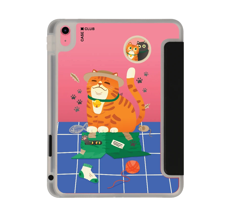 orange cat on the box