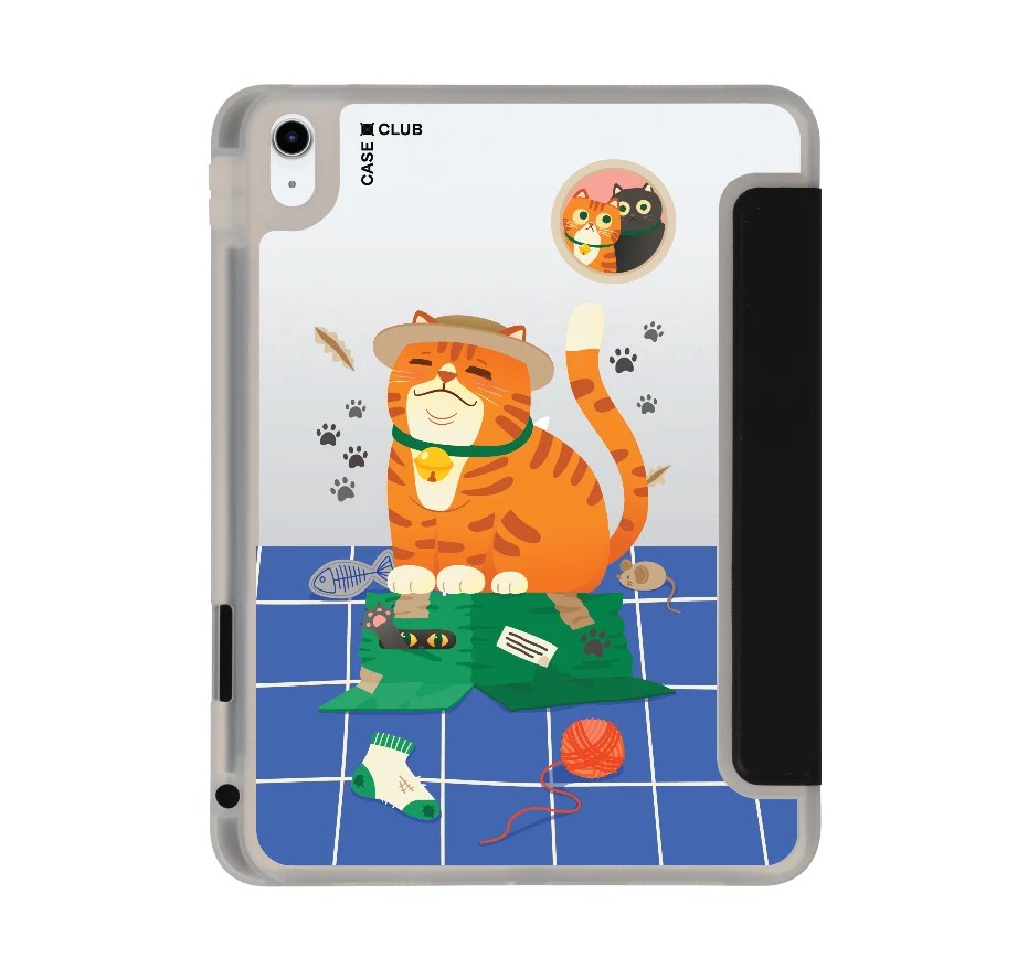 orange cat on the box