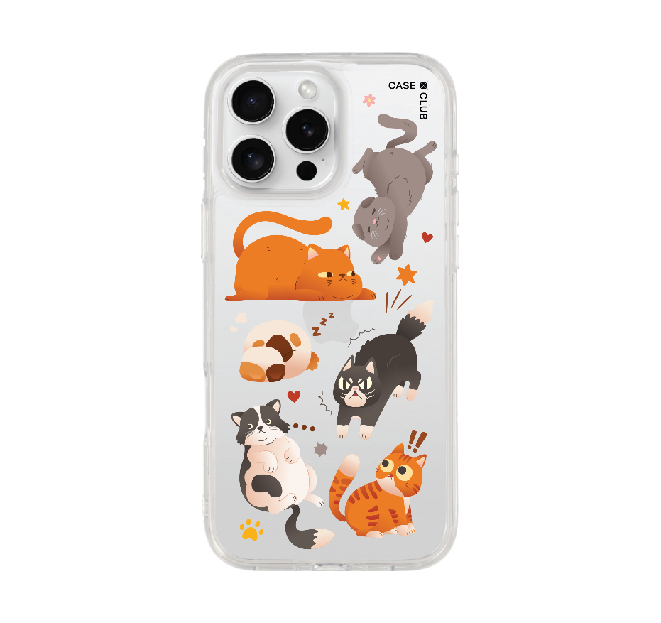 multiple cat