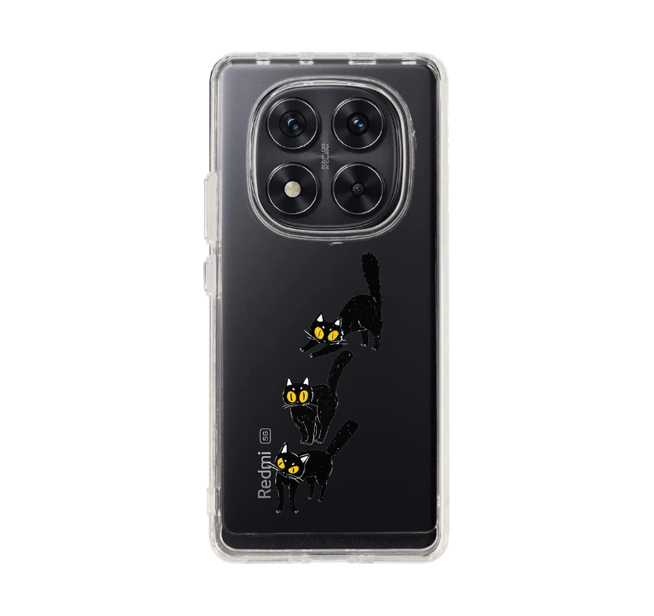 แมวดำนำโชค