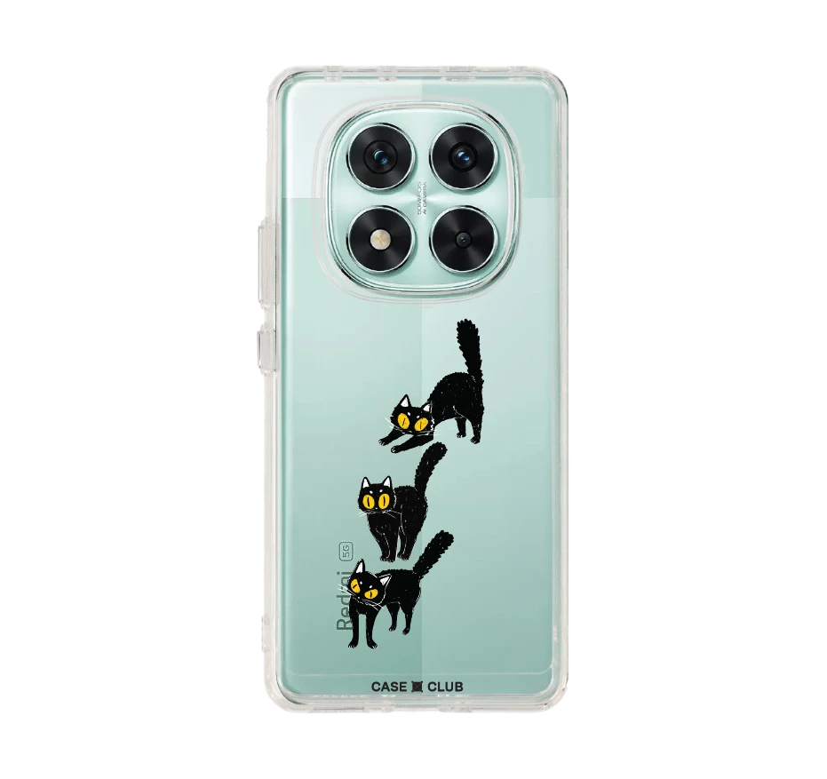 แมวดำนำโชค