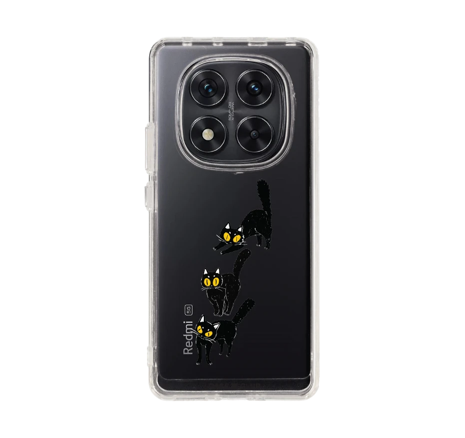 แมวดำนำโชค