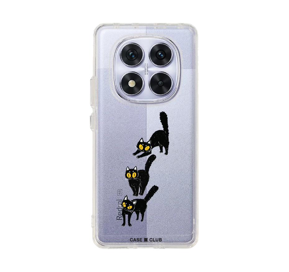 แมวดำนำโชค