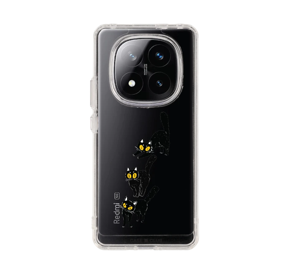 แมวดำนำโชค