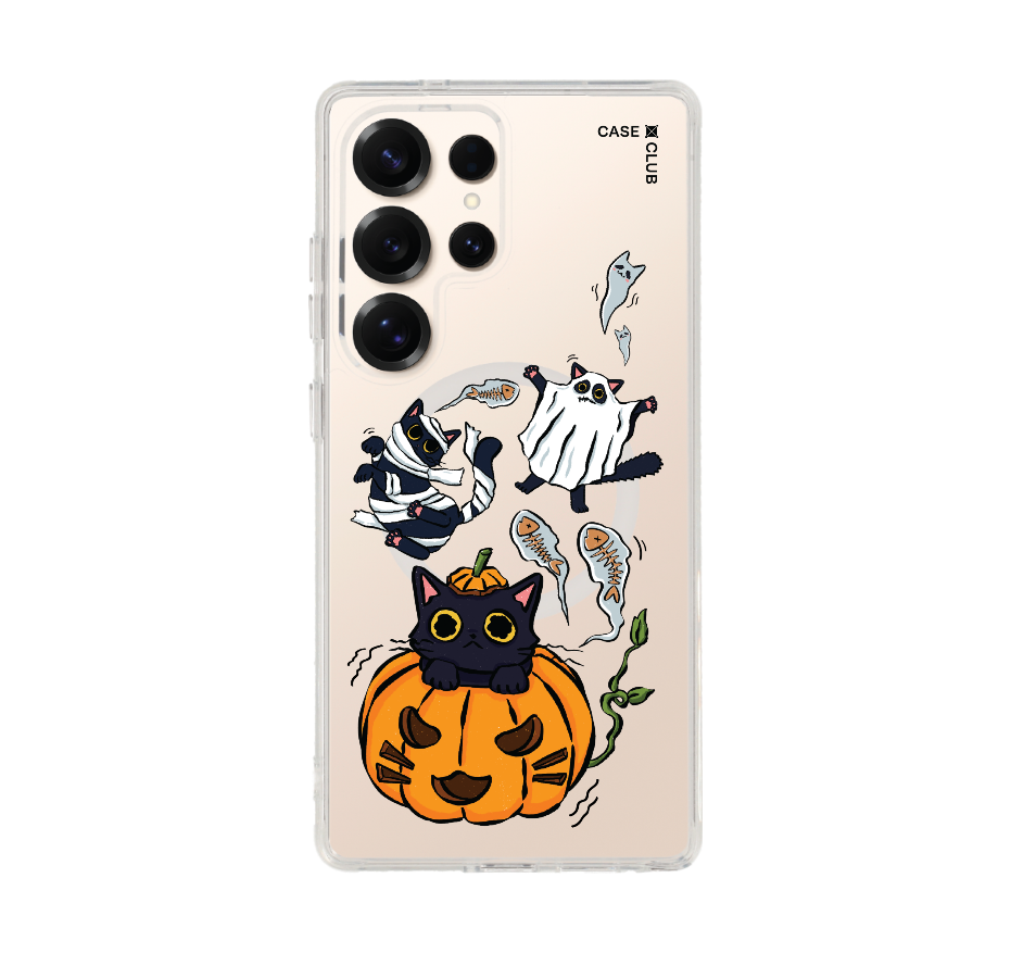 halloween cat