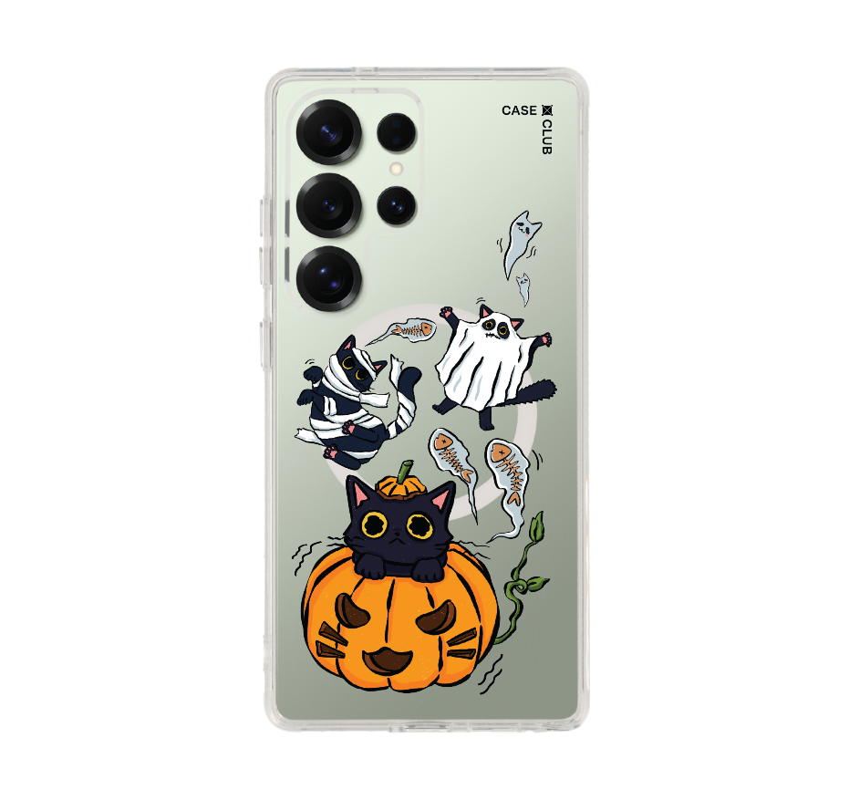 halloween cat