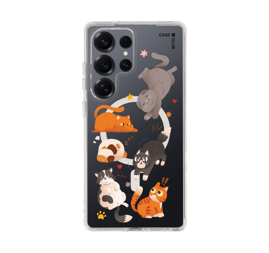 รวมแมวหลากอารมณ์