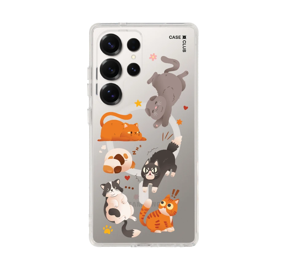 รวมแมวหลากอารมณ์