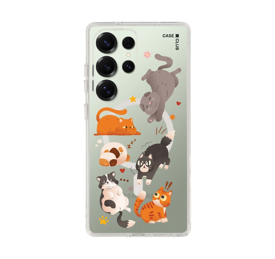 รวมแมวหลากอารมณ์