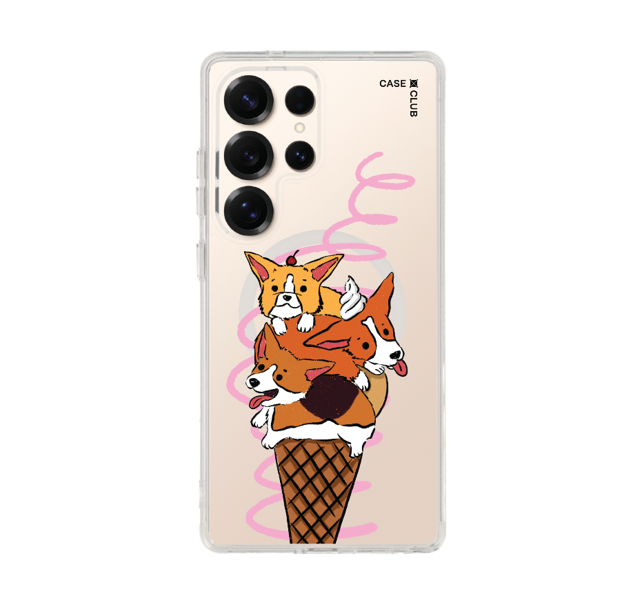 corgi ซันเดย์