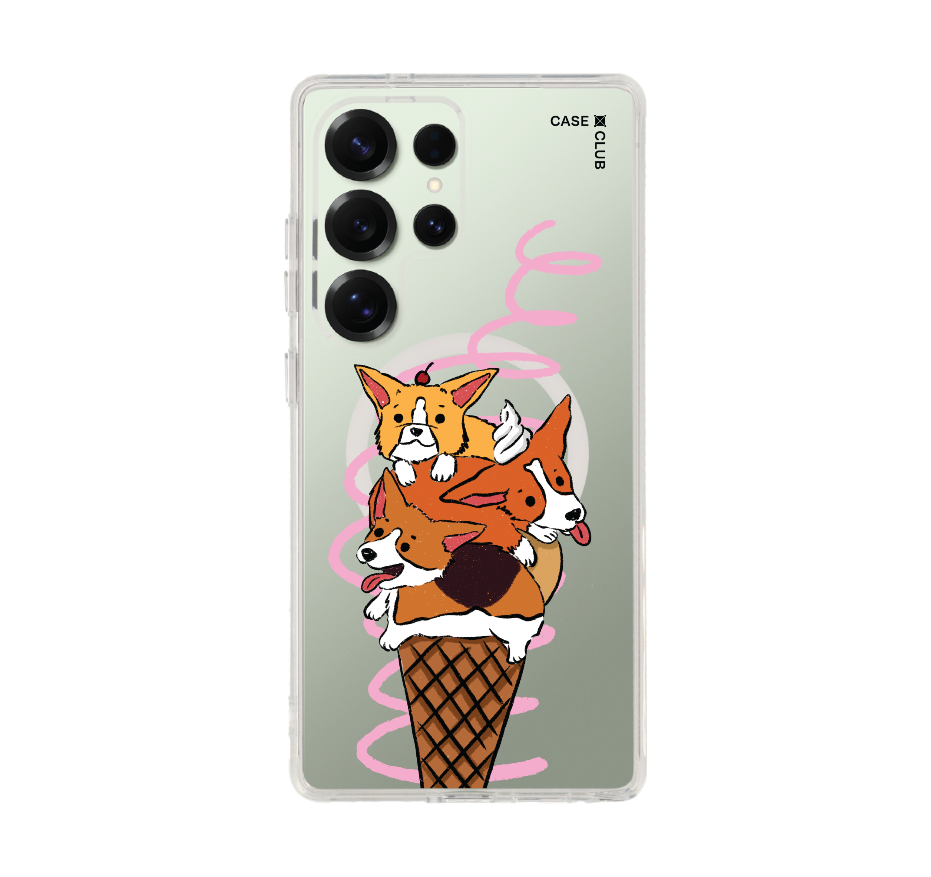 corgi ซันเดย์