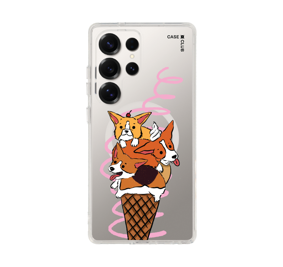 corgi ซันเดย์