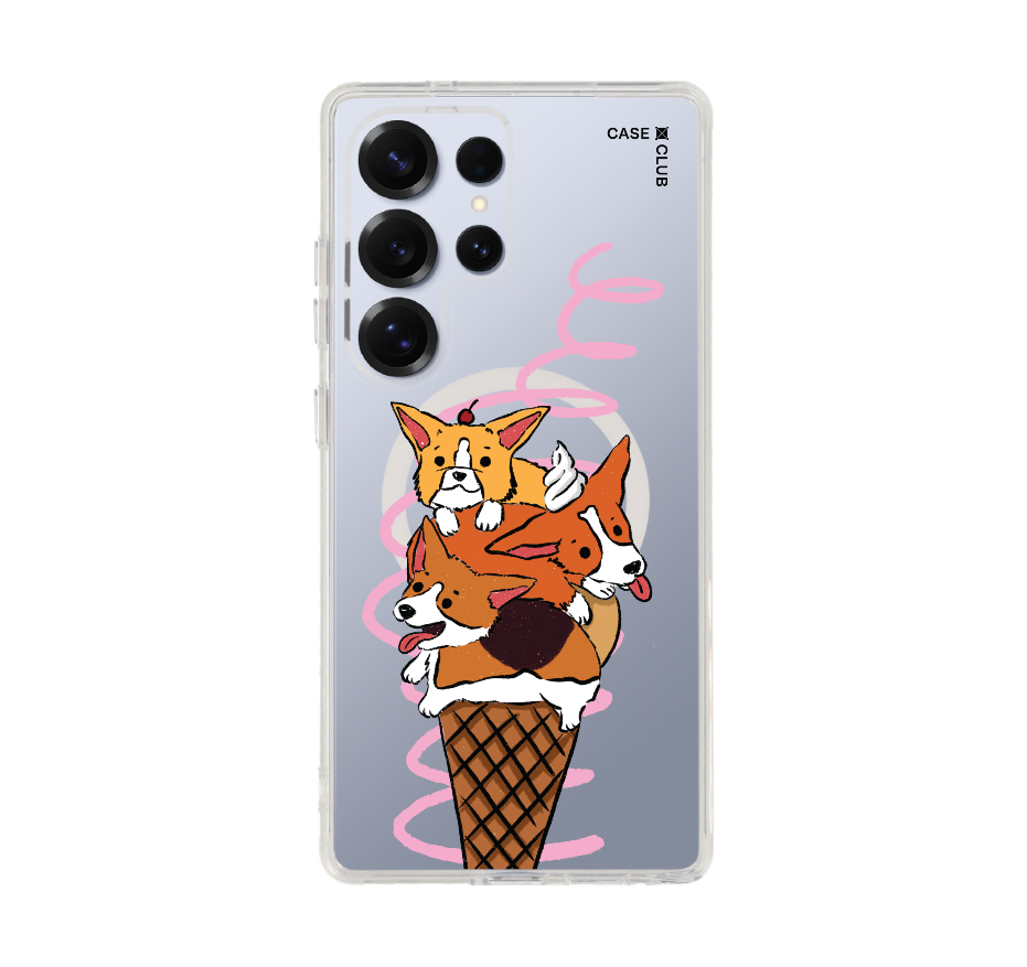 corgi ซันเดย์