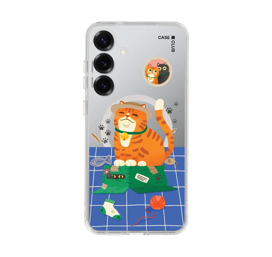 แมวหมวกฟางนักผจญภัย