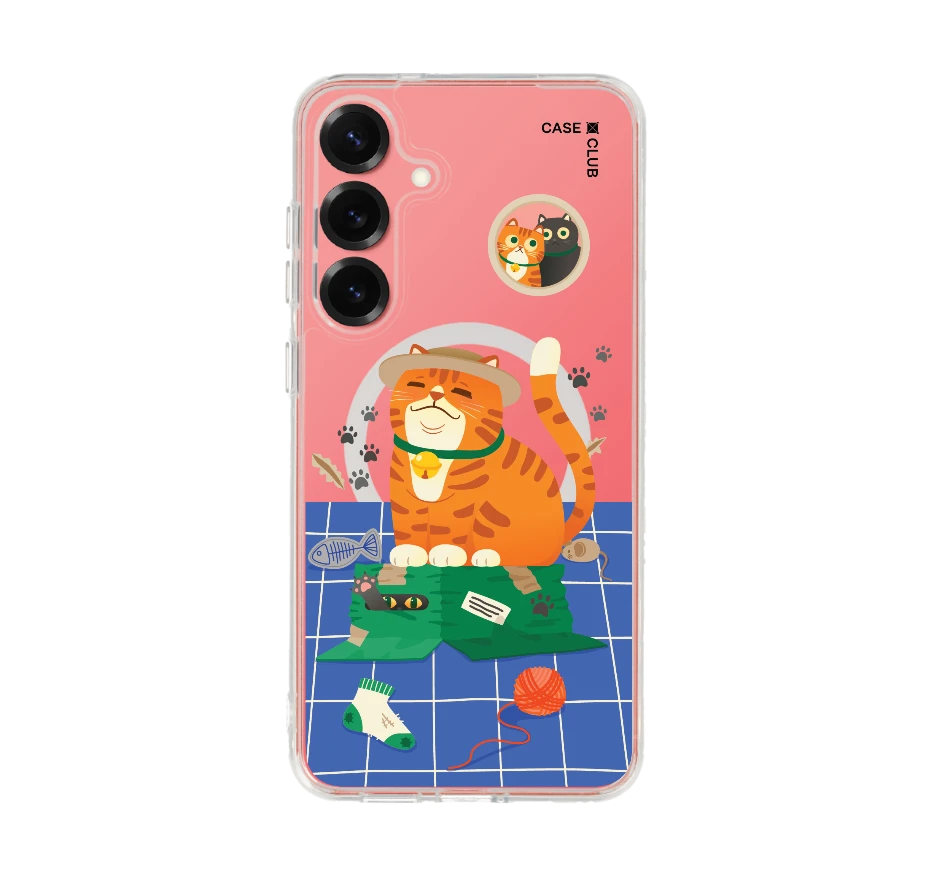 แมวหมวกฟางนักผจญภัย