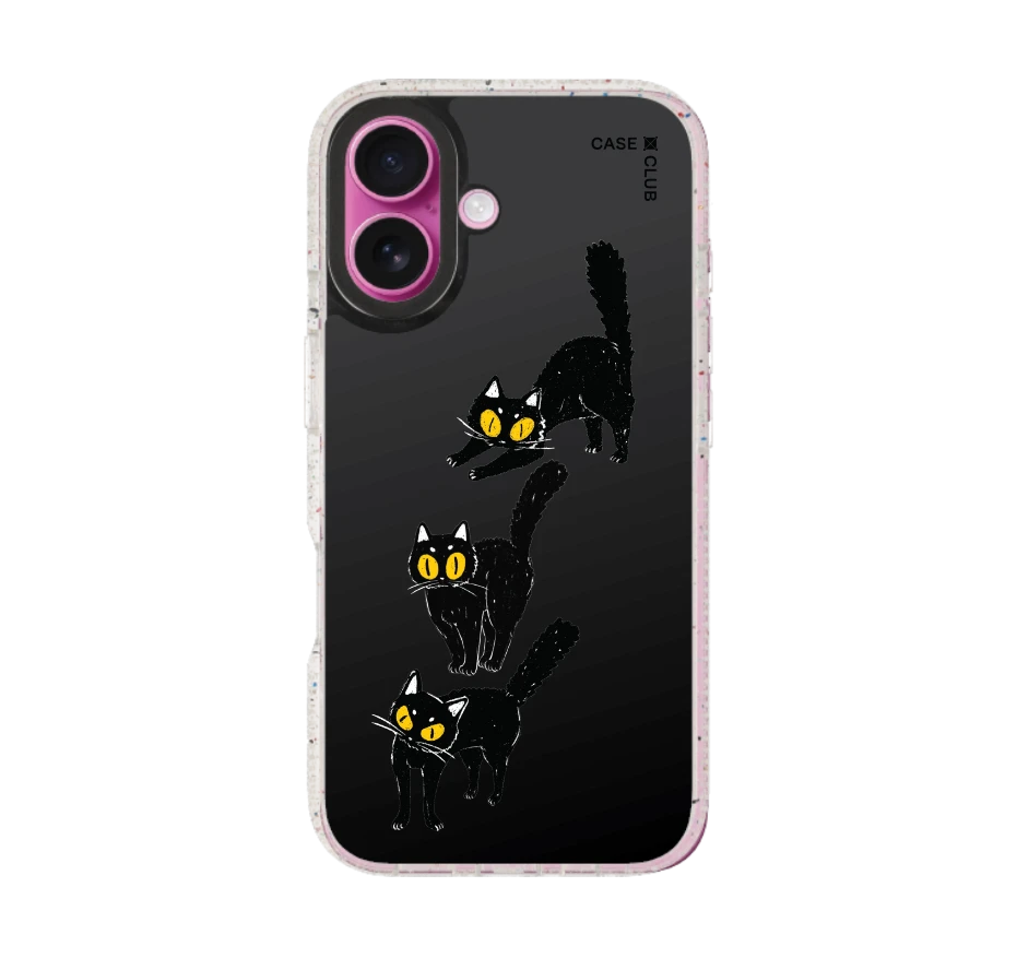 แมวดำนำโชค