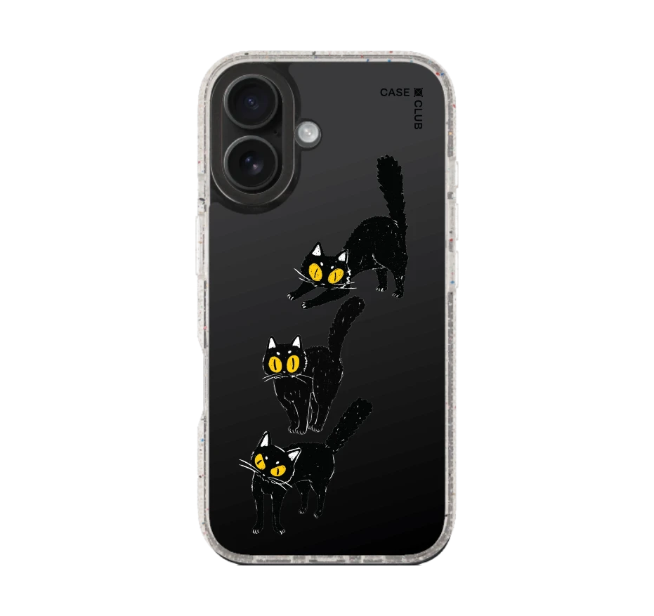 แมวดำนำโชค