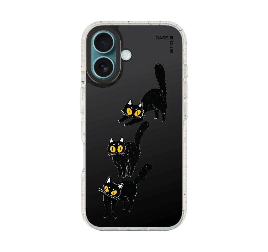 แมวดำนำโชค