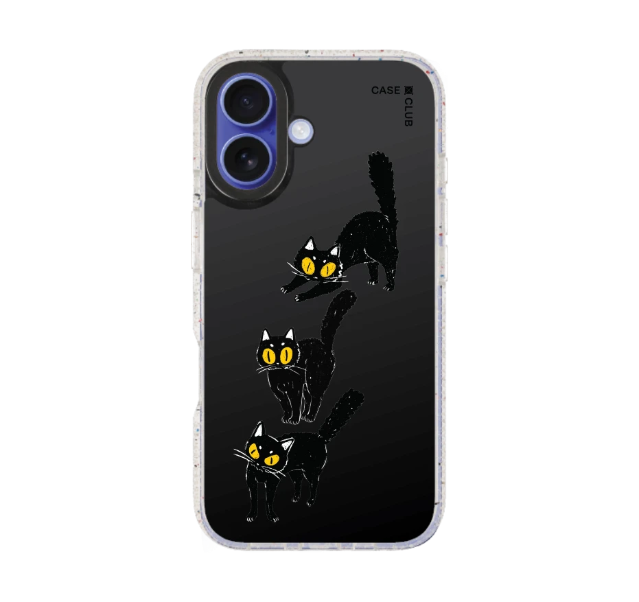 แมวดำนำโชค