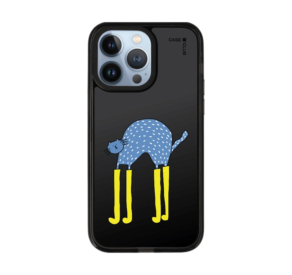 แมวฟ้ากับบูทซิ่งคู่ใจ