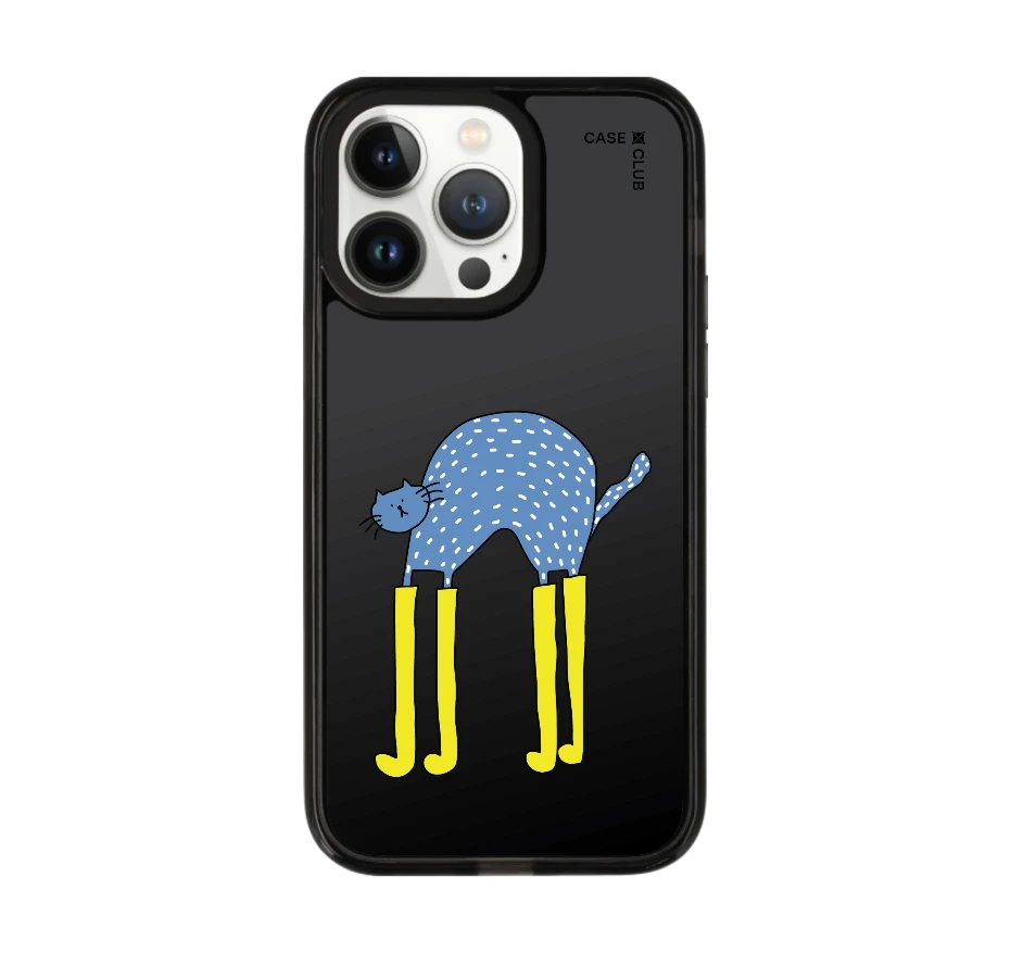 แมวฟ้ากับบูทซิ่งคู่ใจ