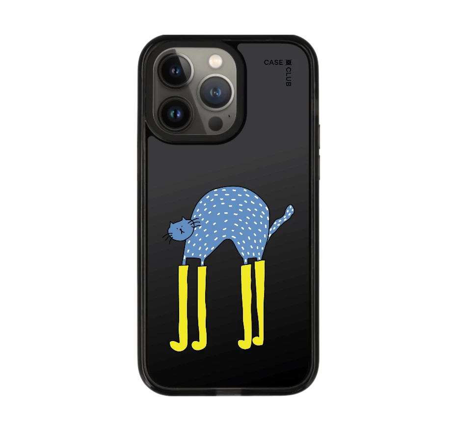 แมวฟ้ากับบูทซิ่งคู่ใจ