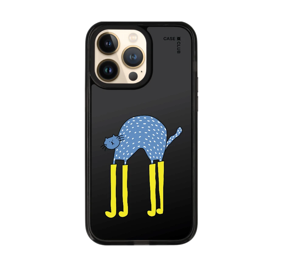 แมวฟ้ากับบูทซิ่งคู่ใจ