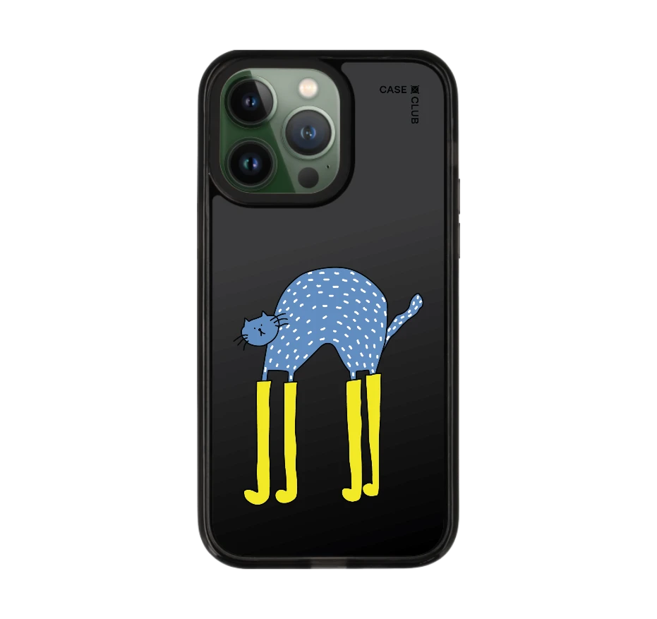 แมวฟ้ากับบูทซิ่งคู่ใจ