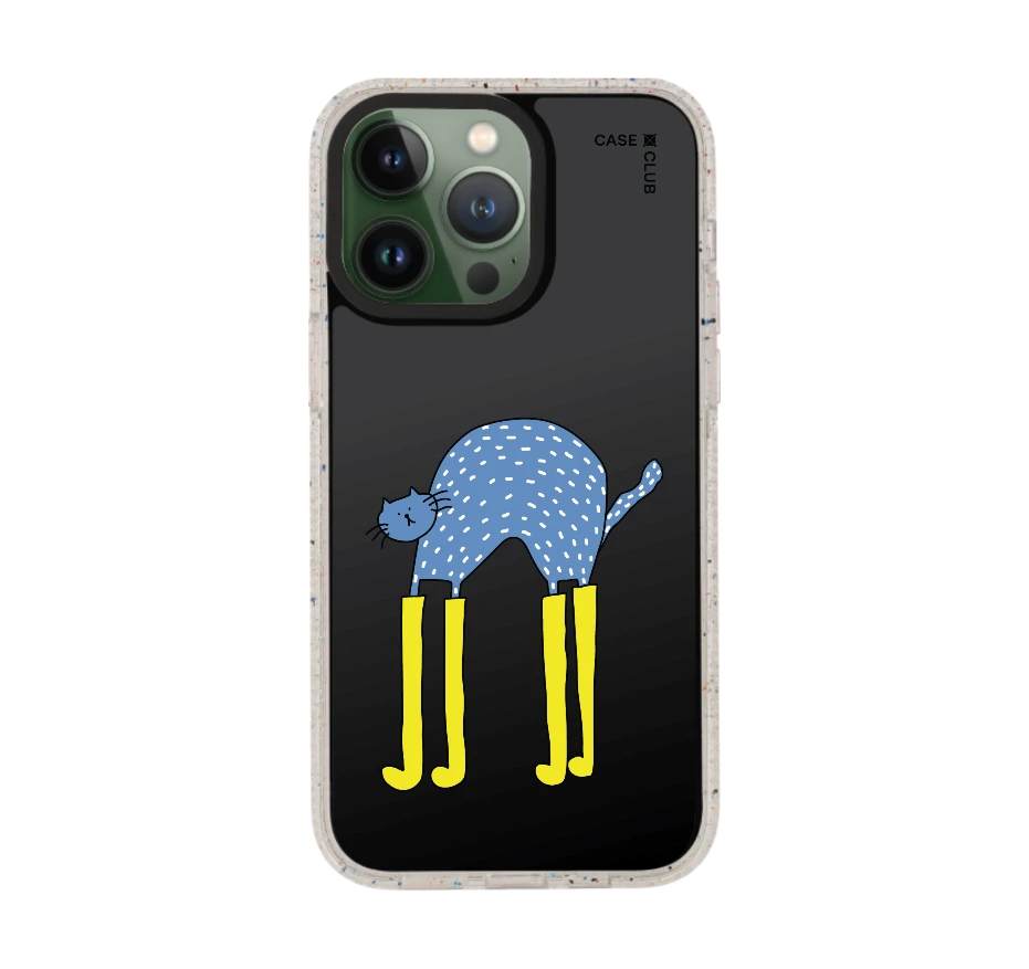 แมวฟ้ากับบูทซิ่งคู่ใจ