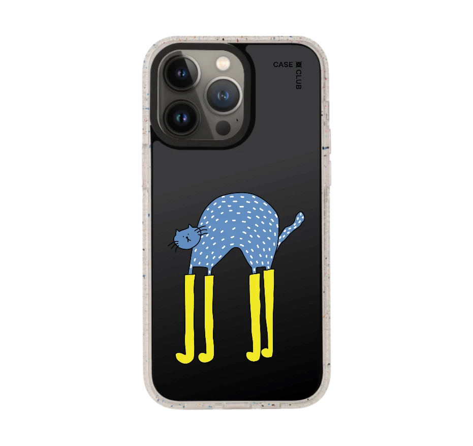 แมวฟ้ากับบูทซิ่งคู่ใจ