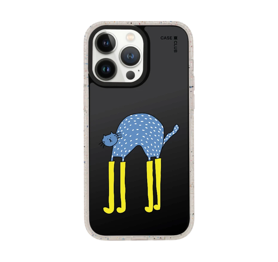 แมวฟ้ากับบูทซิ่งคู่ใจ