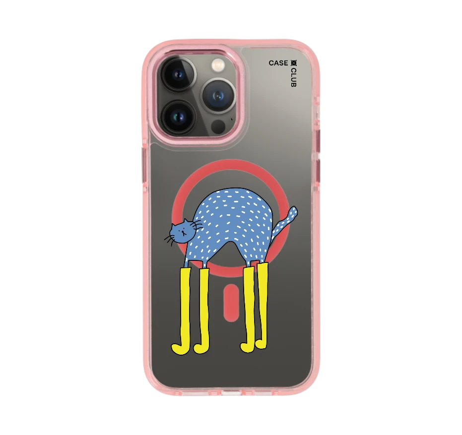 แมวฟ้ากับบูทซิ่งคู่ใจ