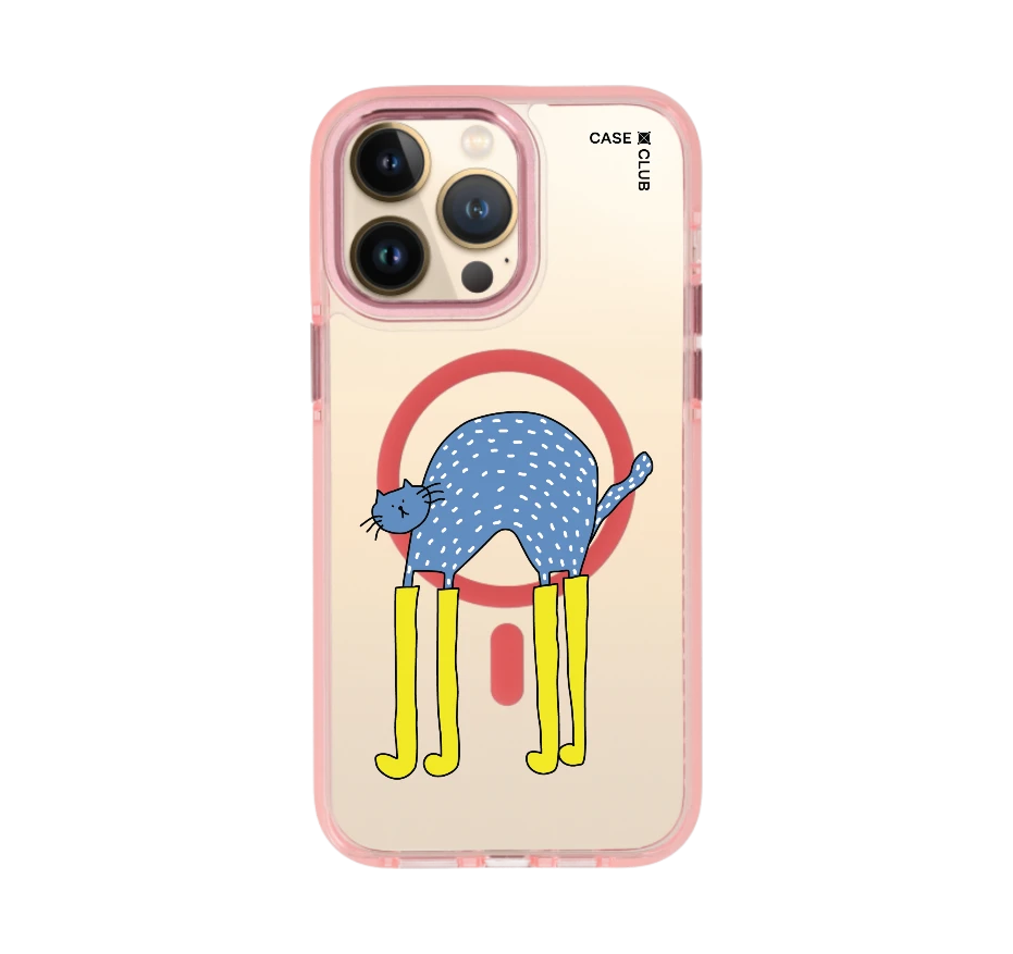 แมวฟ้ากับบูทซิ่งคู่ใจ