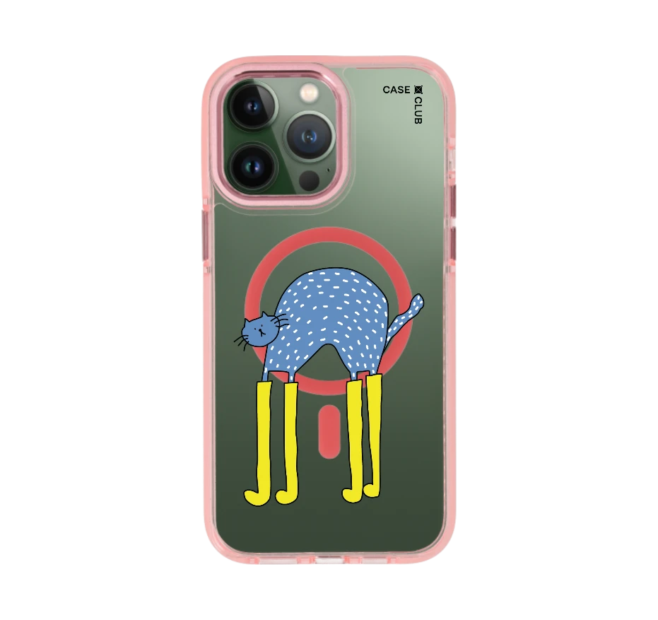 แมวฟ้ากับบูทซิ่งคู่ใจ