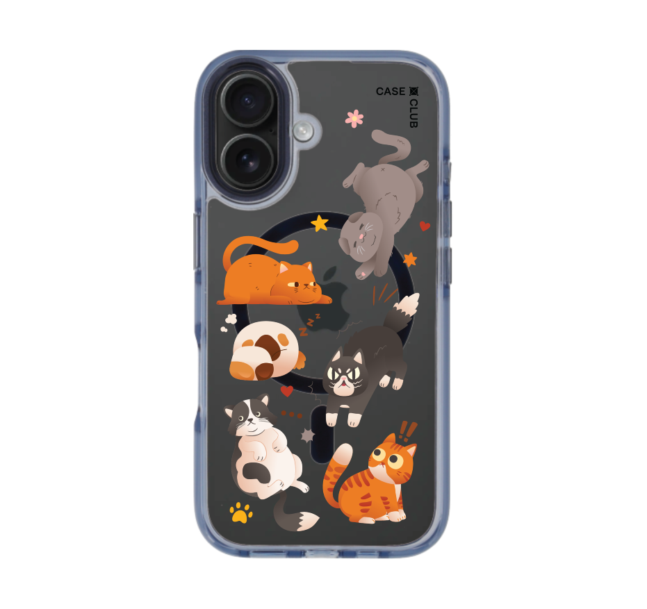 multiple cat