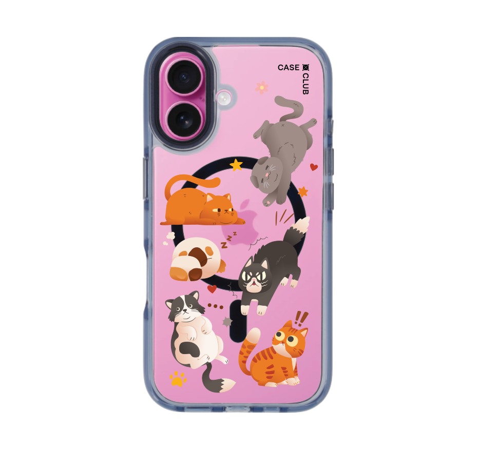 multiple cat