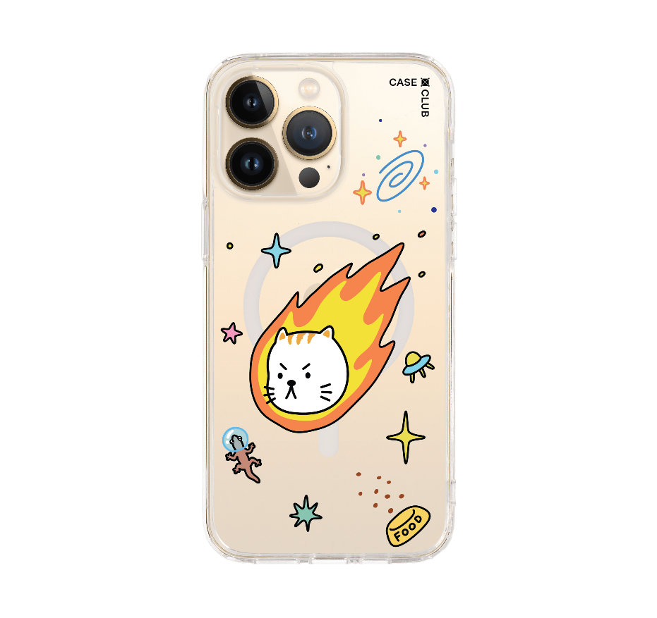 salmon cat space