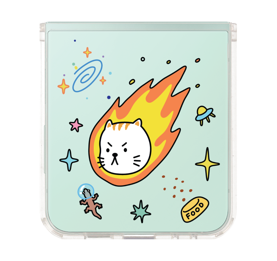 salmon cat space