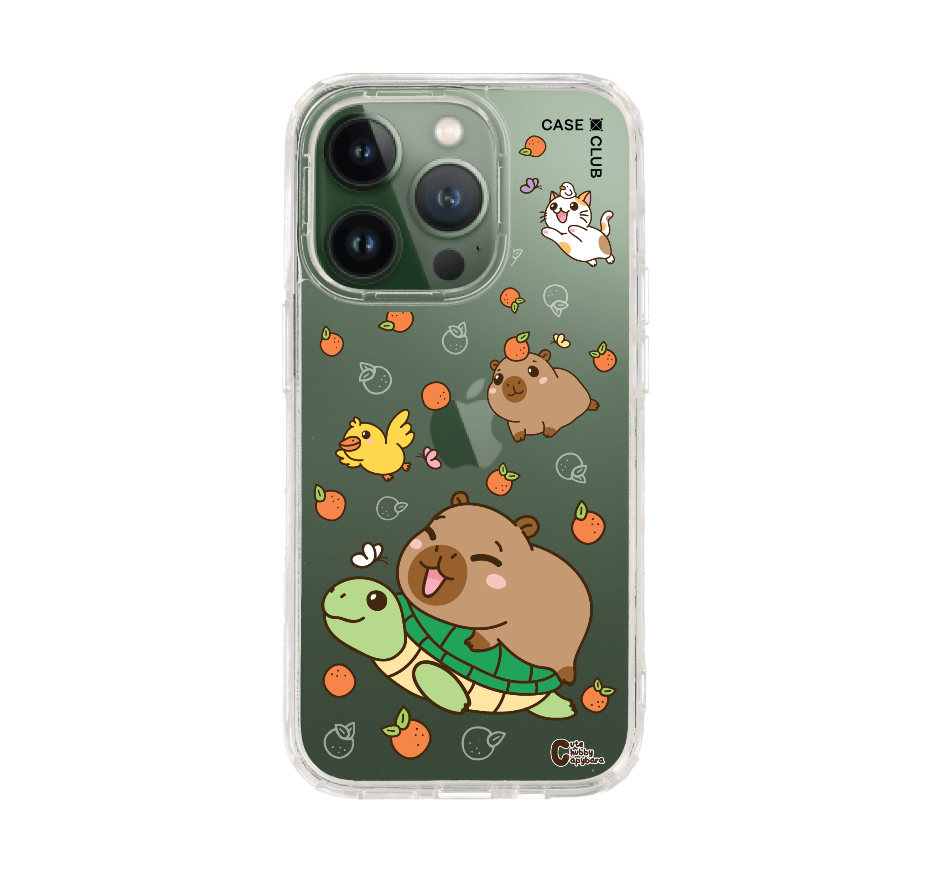 cute chubby capybara mix animal