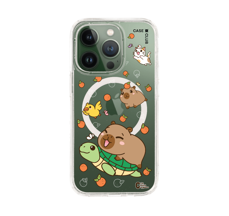 cute chubby capybara รวมสัตว์
